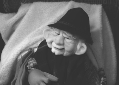 Espectacle familiar “Avis”