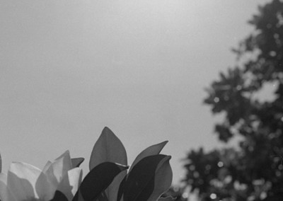 Exposició “Dins”