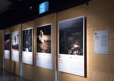Paisatges literaris de la Mediterrània