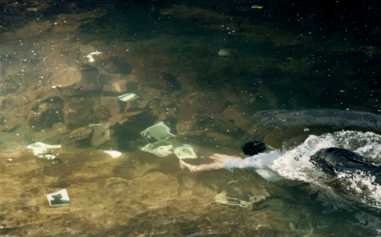 expo escola art 2020